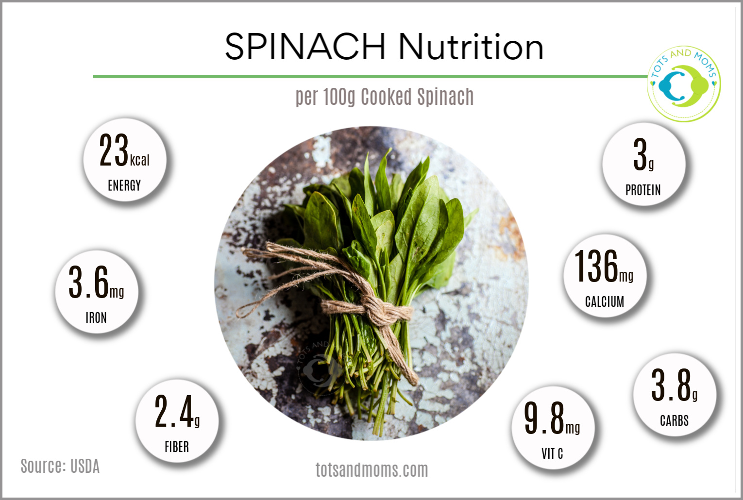 Can I give my baby Spinach? Spinach or Palak recipes for Babies