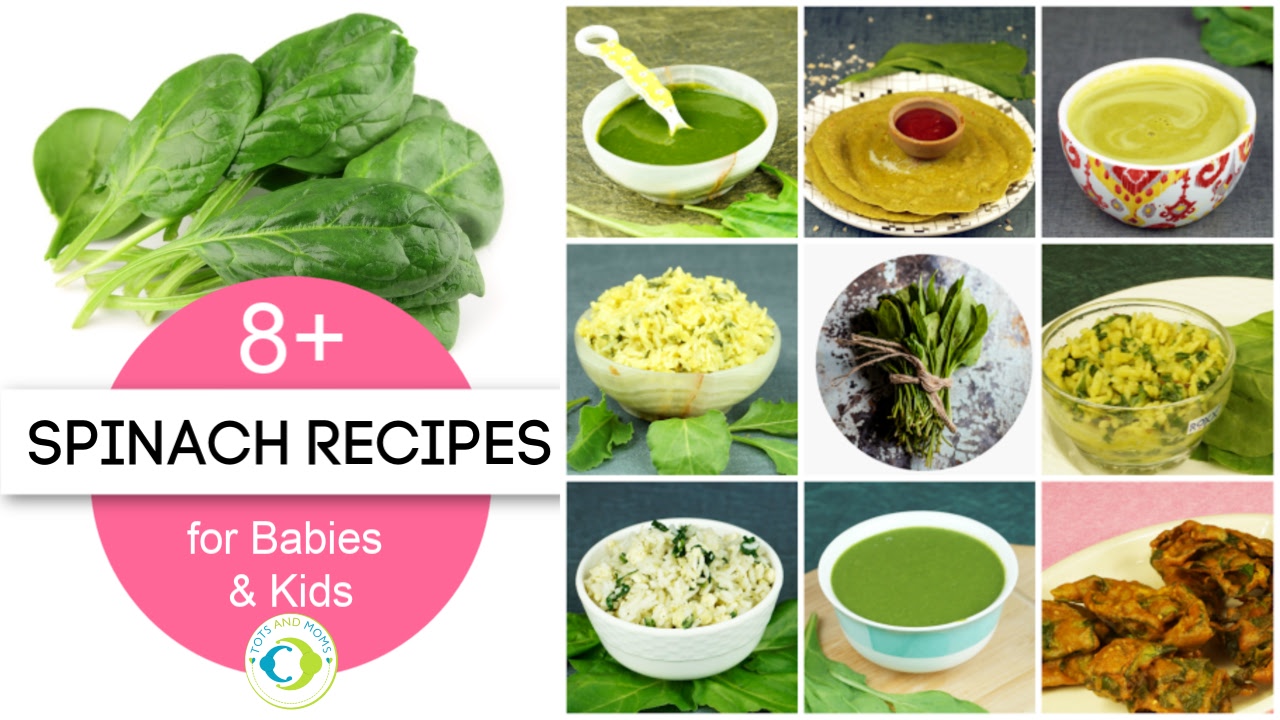 Can I give my baby Spinach? Spinach or Palak recipes for Babies