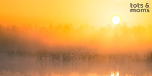 No Access to Sun